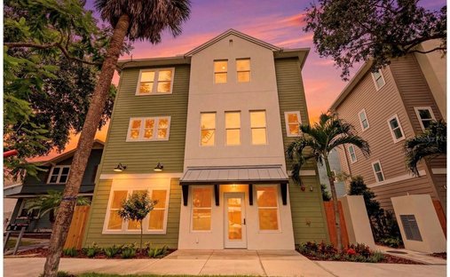 House in St. Petersburg, Florida, United States 1