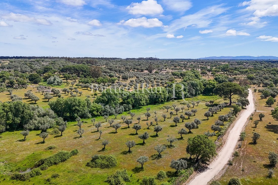 Estate in Monte da Pedra, Portalegre District, Portugal 4 - 15474623