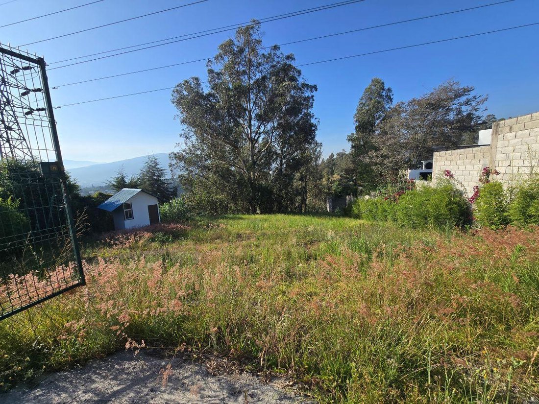 Land in Quito, Pichincha, Ecuador 5 - 18941519