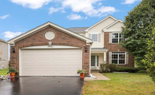 House in Hoffman Estates, Illinois, United States 1