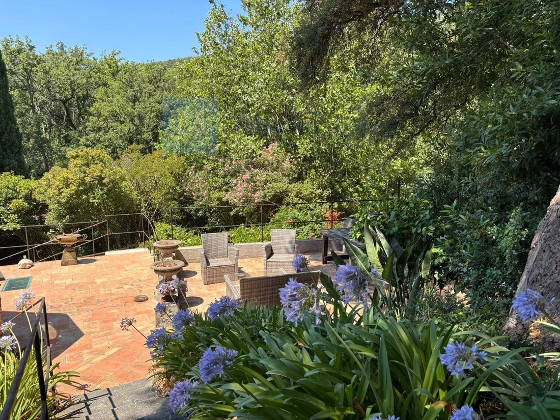 Villa en Grimaud, Provenza-Alpes-Costa Azul, Francia 2 - 17392096