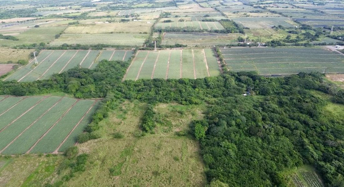 Land in Guillermina Morales, Veracruz, Mexico 5 - 18939219