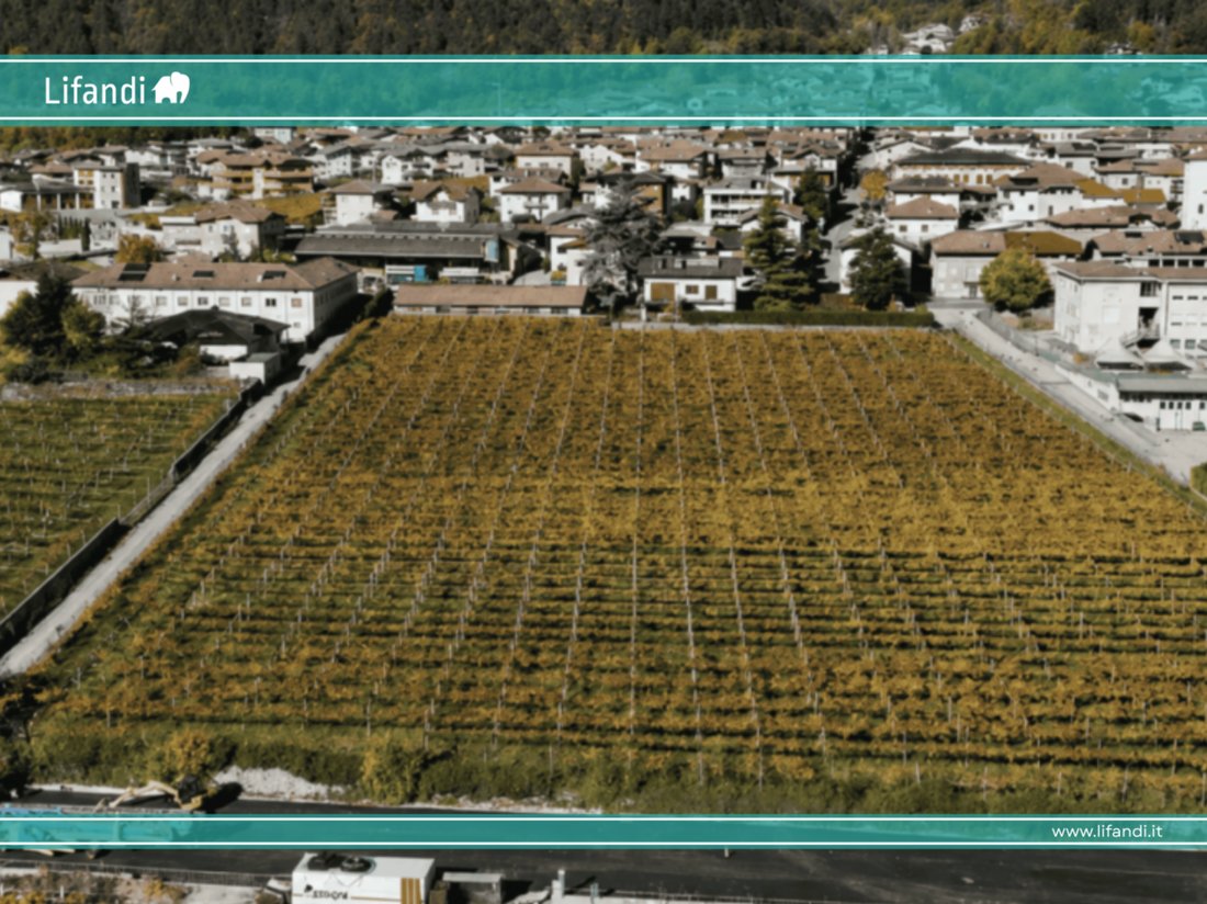 Land in Rovere della Luna, Trentino – Alto Adige/Südtirol, Italy 1 - 14139186