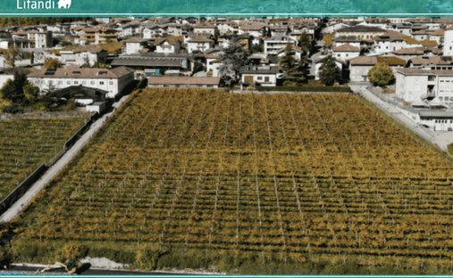 Land in Rovere della Luna, Trentino – Alto Adige/Südtirol, Italy 1