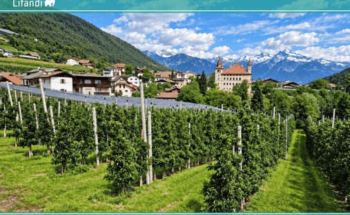 Land in Cortaccia / Kurtatsch an der Weinstraße, Trentino – Alto Adige/Südtirol, Italy 1