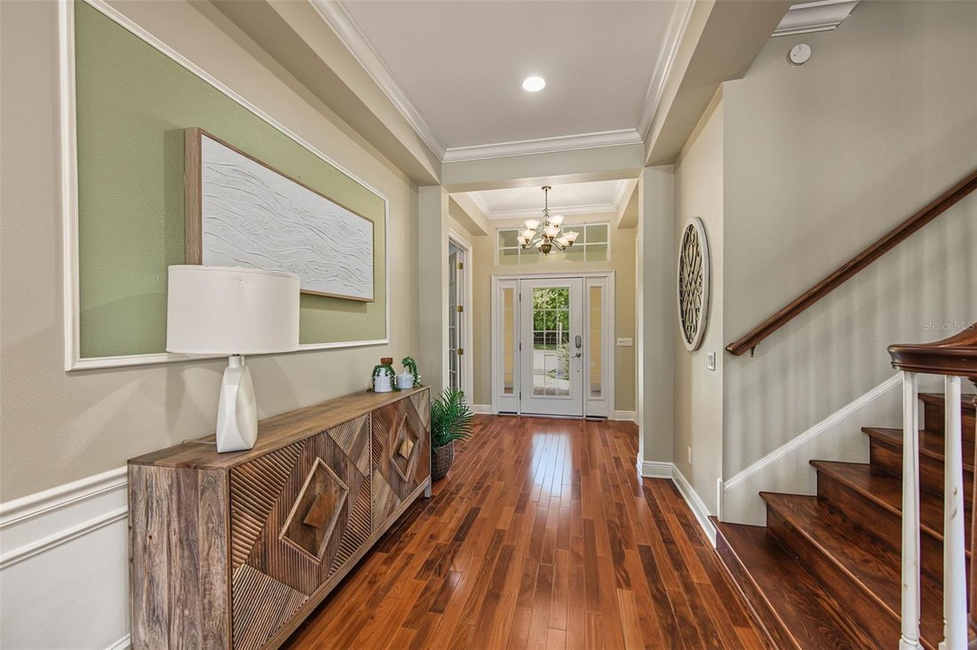 House in Holiday, Florida, United States 5 - 18939865