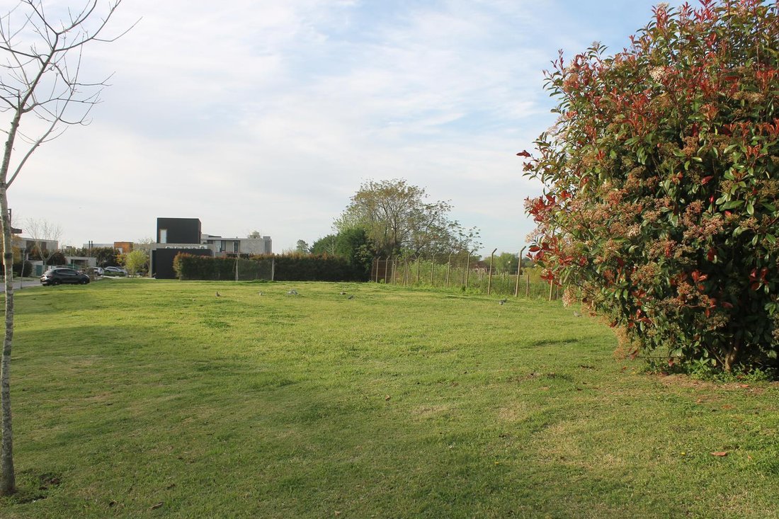 Land in Tigre, Buenos Aires Province, Argentina 3 - 18864687