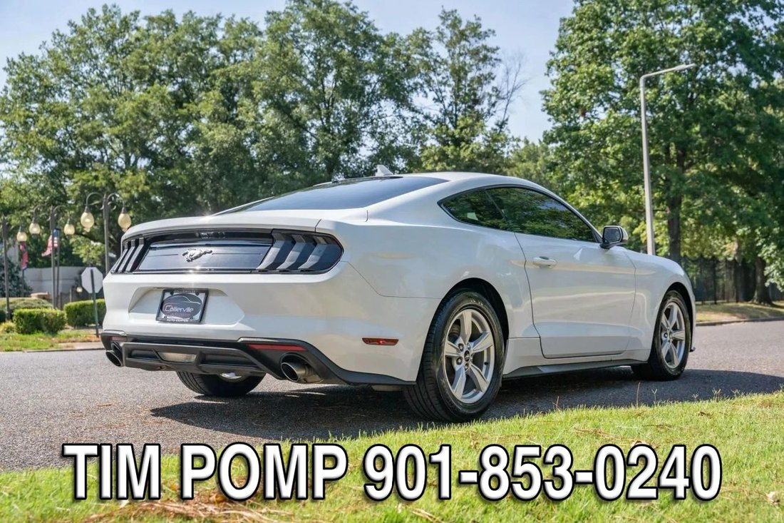 Coupe in Collierville, TN, United States 5 - 18944535