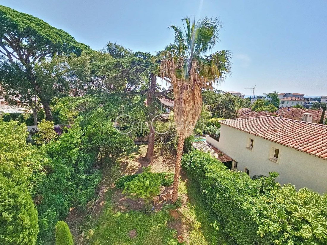 Apartment in Cannes, Provence-Alpes-Côte d'Azur, France 1 - 15723183
