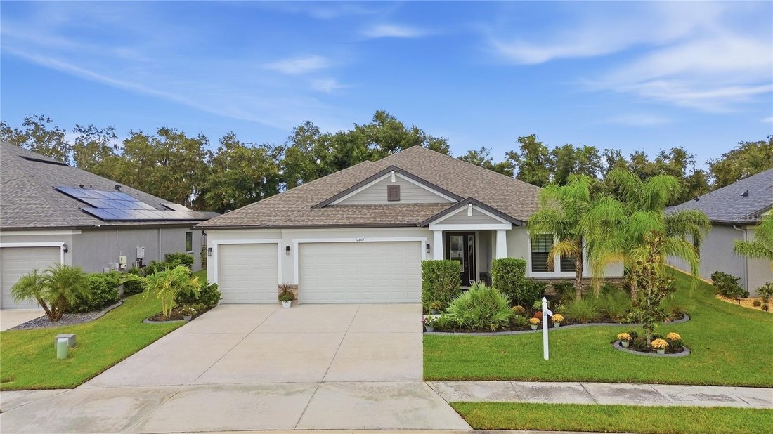 House in Parrish, Florida, United States 1 - 18939866