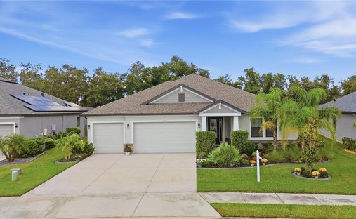 House in Parrish, Florida, United States 1