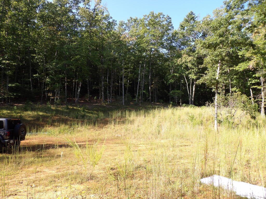Hiawassee, Georgia, United States 3 - 18939306