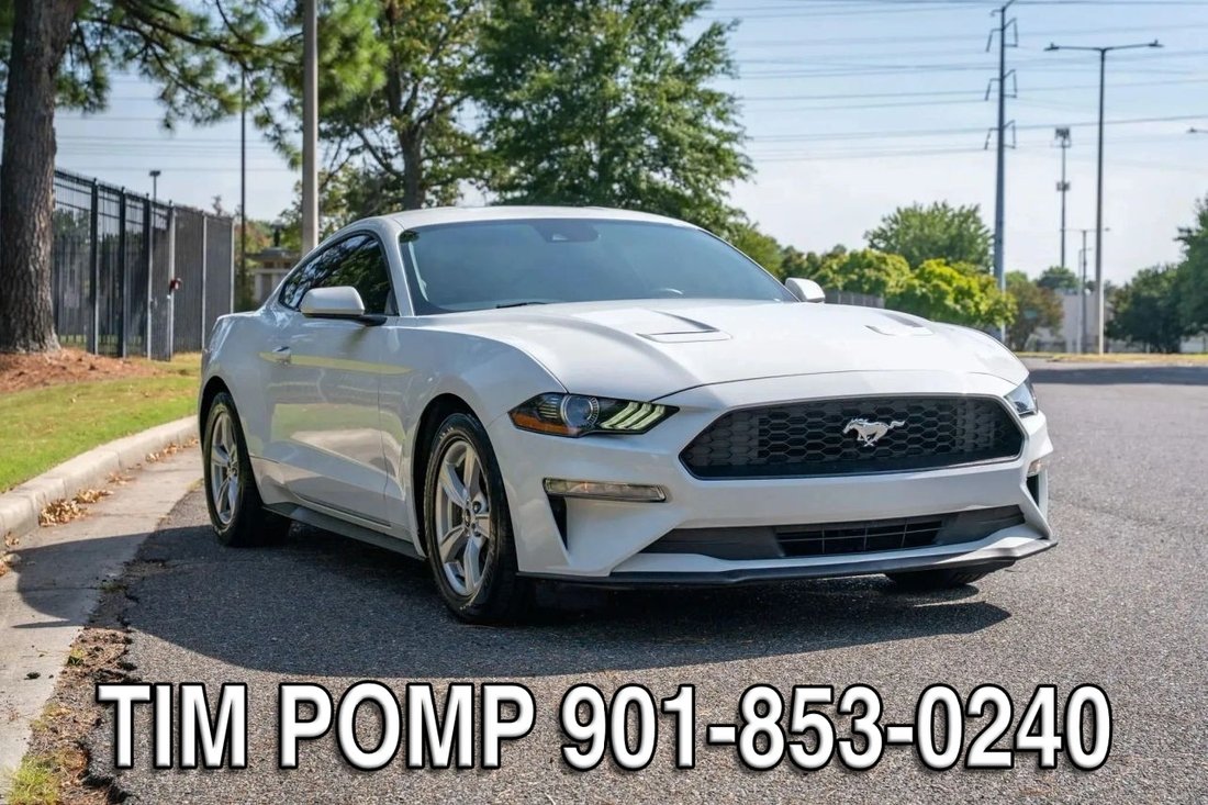 Coupe in Collierville, TN, United States 3 - 18944535