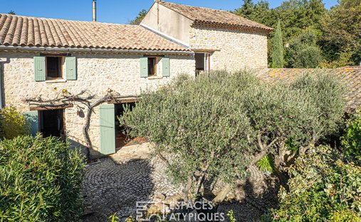 Villa in Beaumes-de-Venise, Provence-Alpes-Côte d'Azur, France 1
