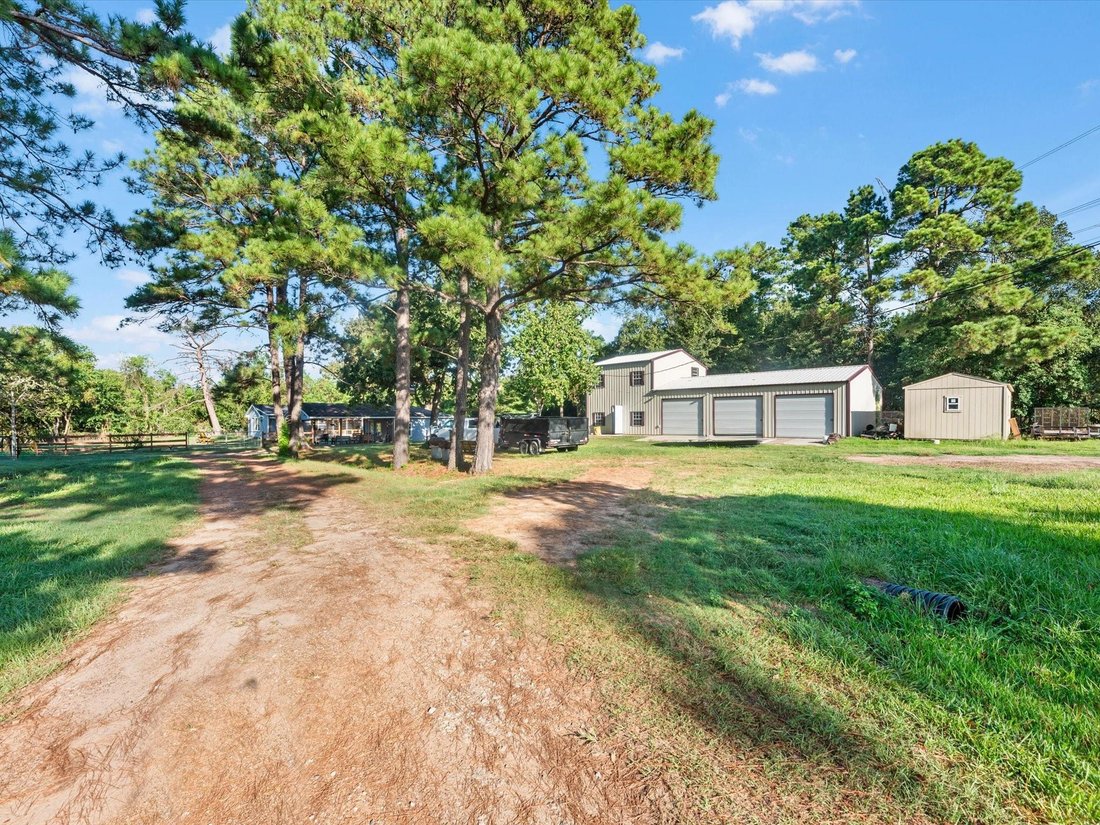 Magnolia, Texas, United States 3 - 18940091