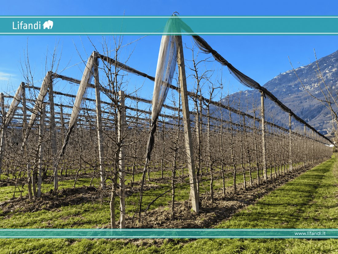 Land in Kaltern / Kaltern an der Weinstraße, Trentino – Alto Adige/Südtirol, Italy 1 - 12485265