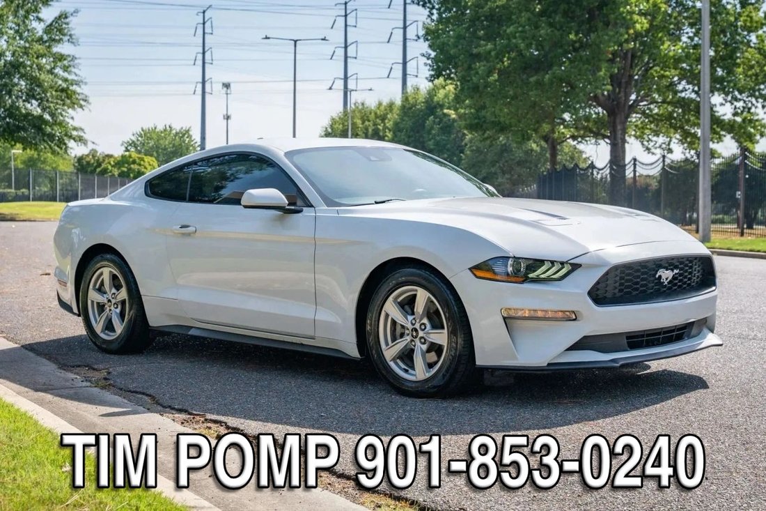 Coupe in Collierville, TN, United States 4 - 18944535