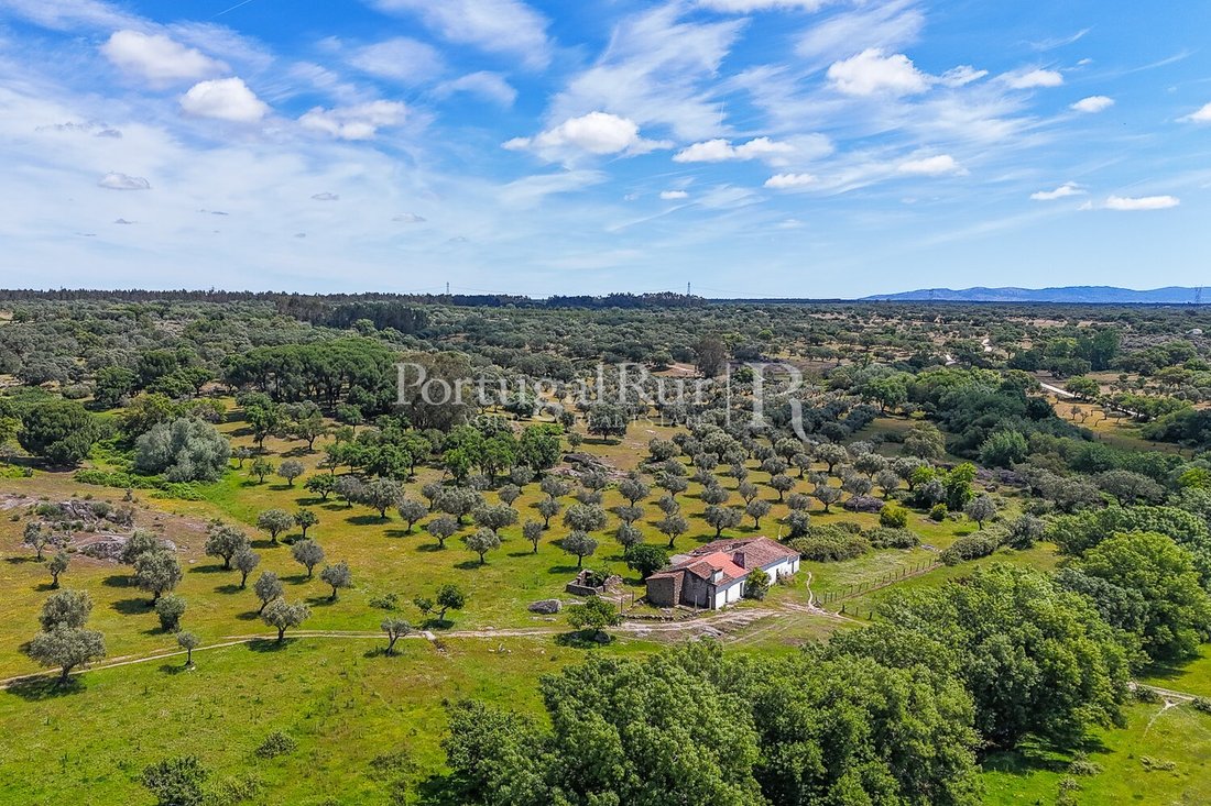 Estate in Monte da Pedra, Portalegre District, Portugal 2 - 15474623