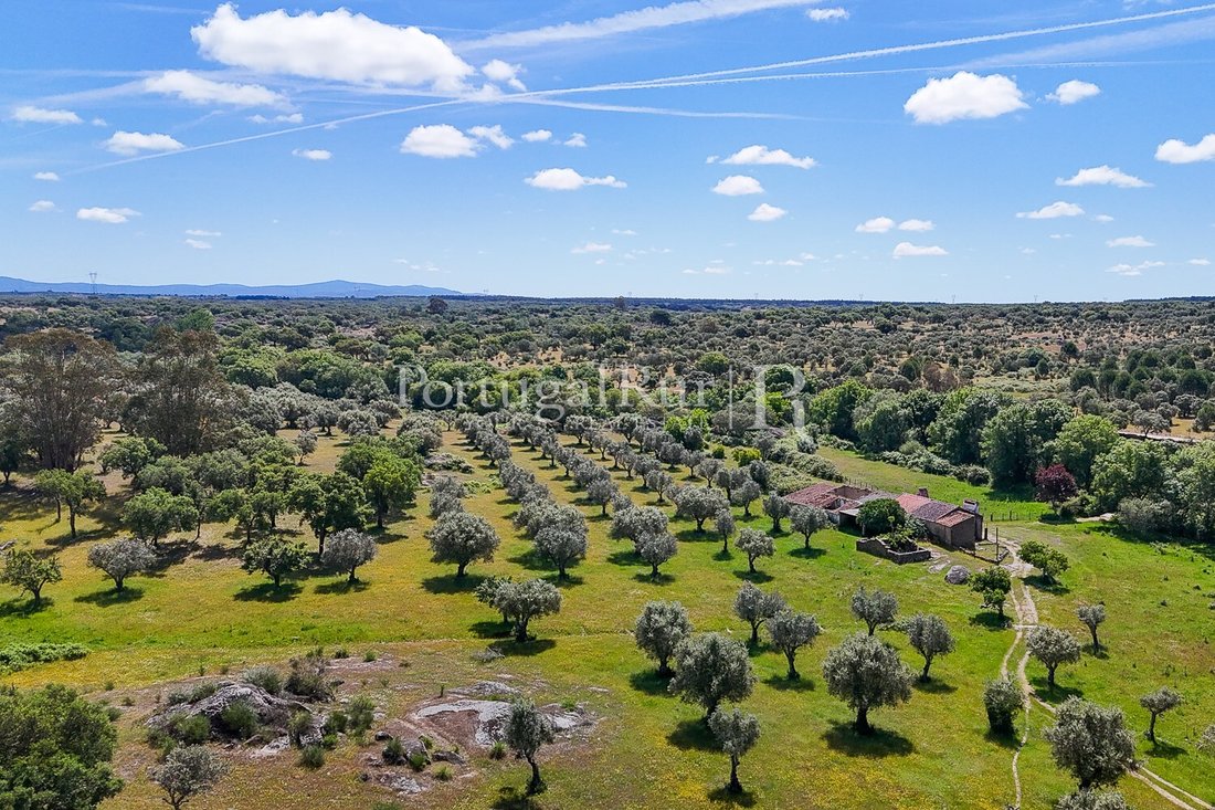 Estate in Monte da Pedra, Portalegre District, Portugal 3 - 15474623