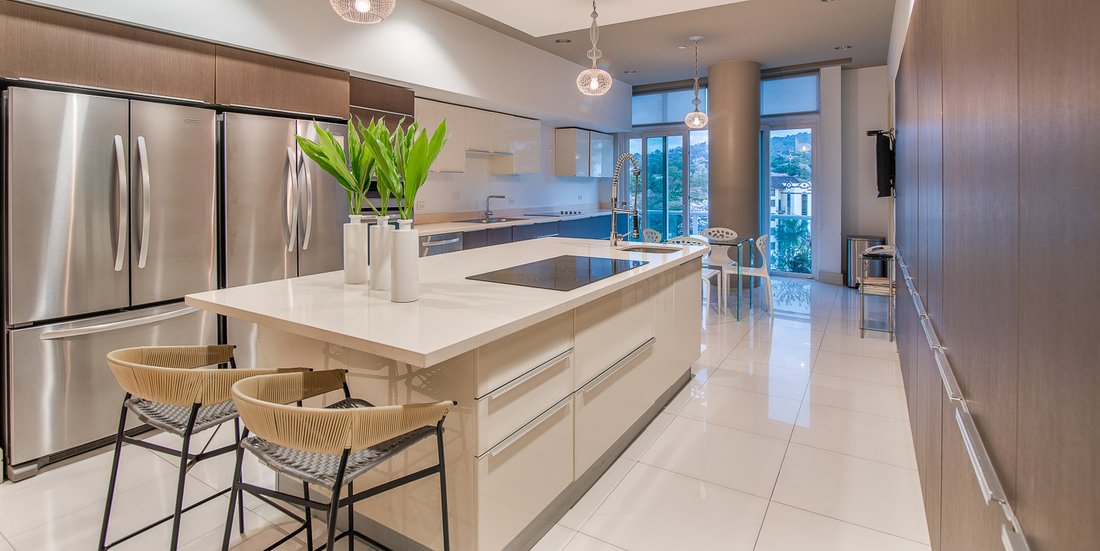 Penthouse in San Rafael de Escazú, San José Province, Costa Rica 4 - 18941722