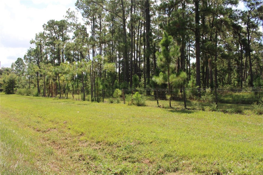 Land in Frostproof, Florida, United States 4 - 18942815