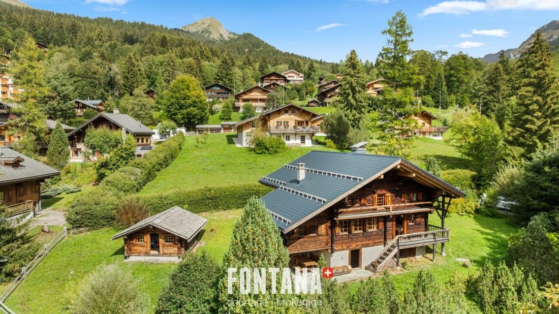 Chalet in Les Diablerets, Ormont-Dessus, Switzerland 1 - 18942306