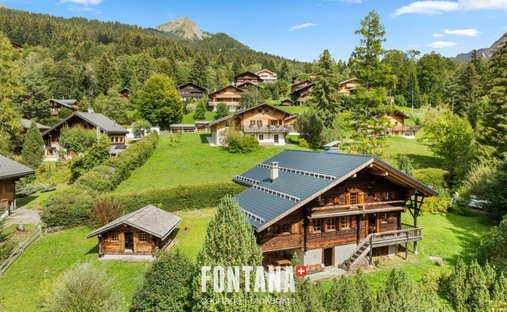 Chalet in Les Diablerets, Ormont-Dessus, Switzerland 1