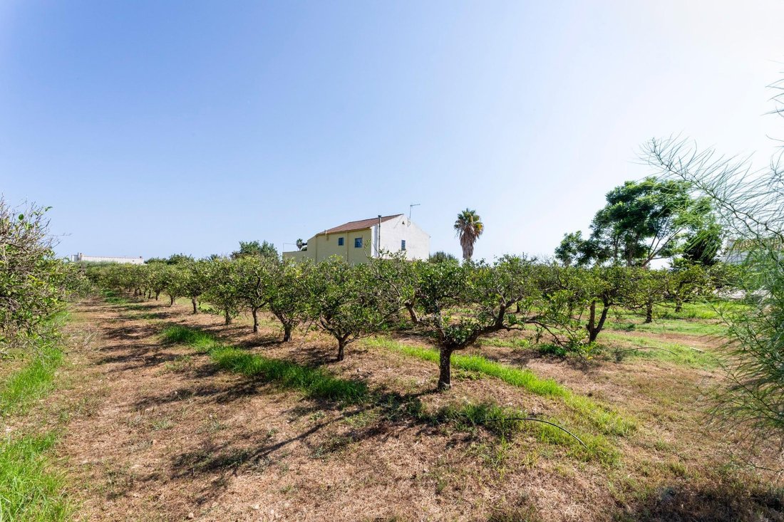 Country House in Alcanar, Catalonia, Spain 5 - 18946197