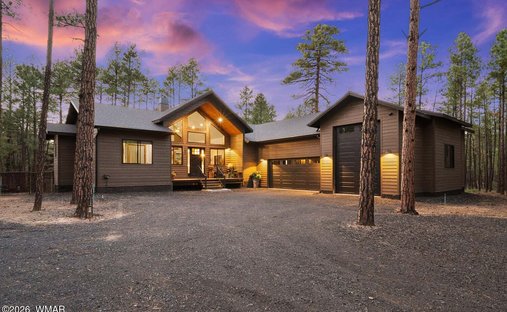 House in Show Low, Arizona, United States 1