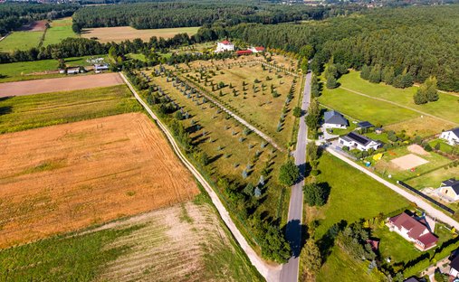 Land in Oborniki Śląskie, Lower Silesian Voivodeship, Poland 1