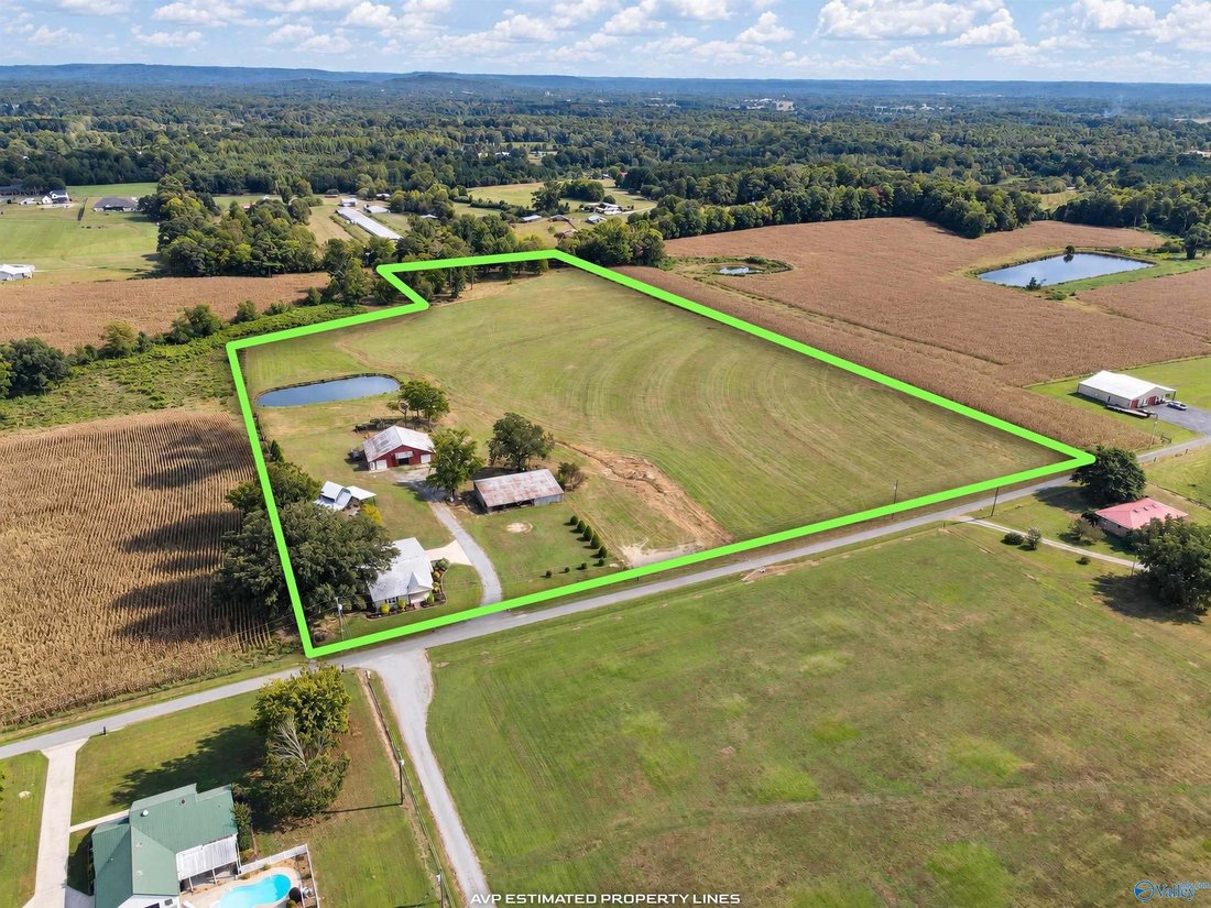 Farm Ranch in Hartselle, Alabama, United States 3 - 18945692
