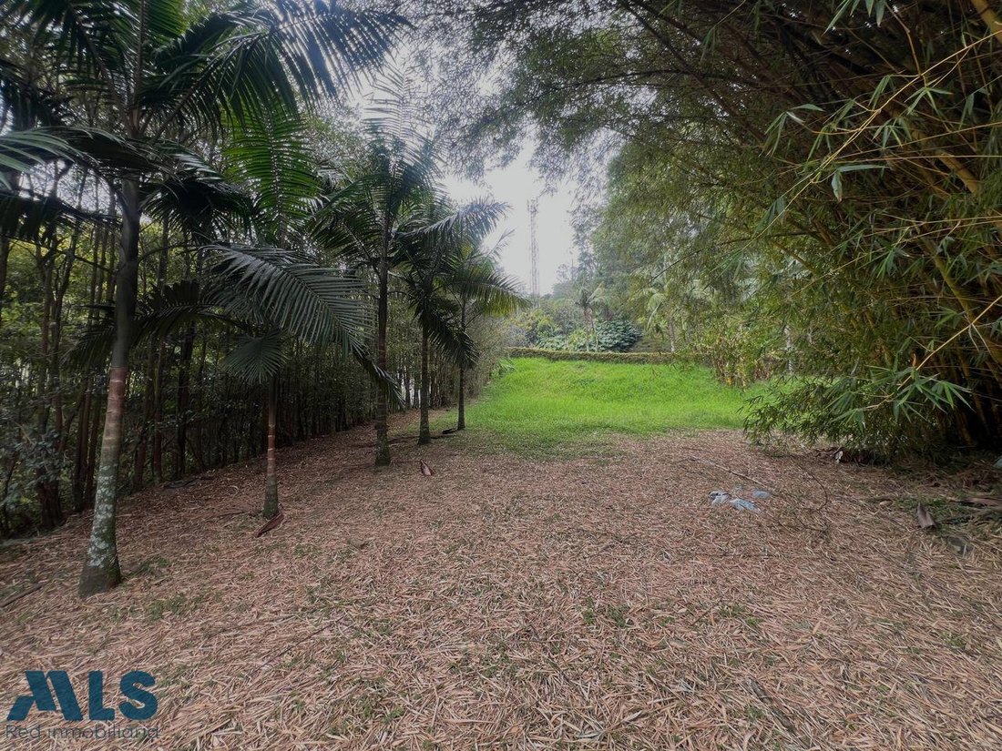 Land in Medellín, Antioquia, Colombia 5 - 18946245
