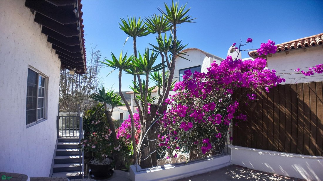 House in San Miguel, Baja California, Mexico 4 - 18945657