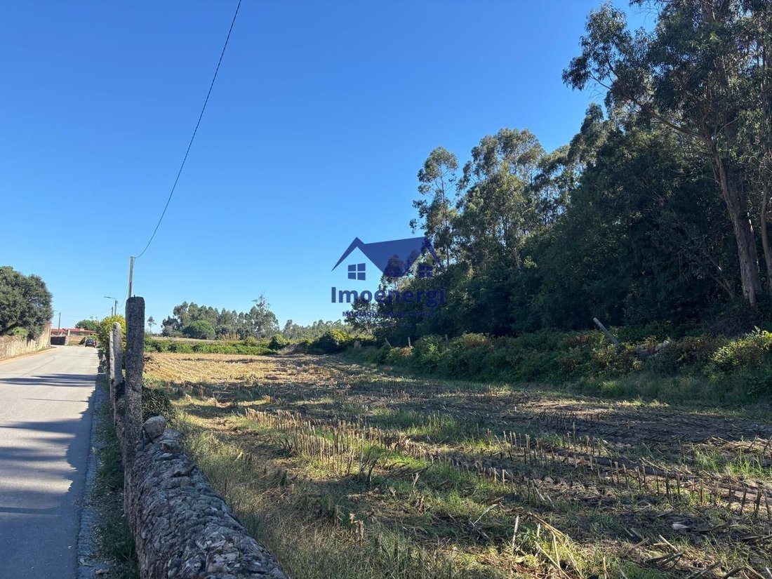 Junqueira, Porto District, Portugal 1 - 18946289