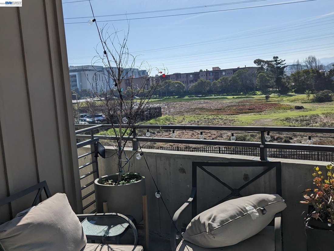 Condo in San Mateo, California, United States 3 - 18946273