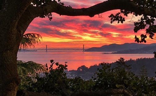 House in Berkeley, California, United States 1