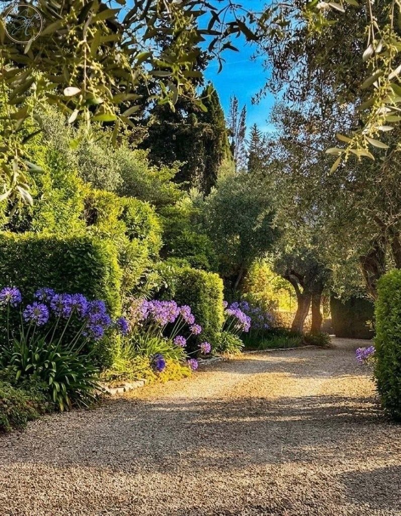 House in Grasse, Provence-Alpes-Côte d'Azur, France 2 - 18946679