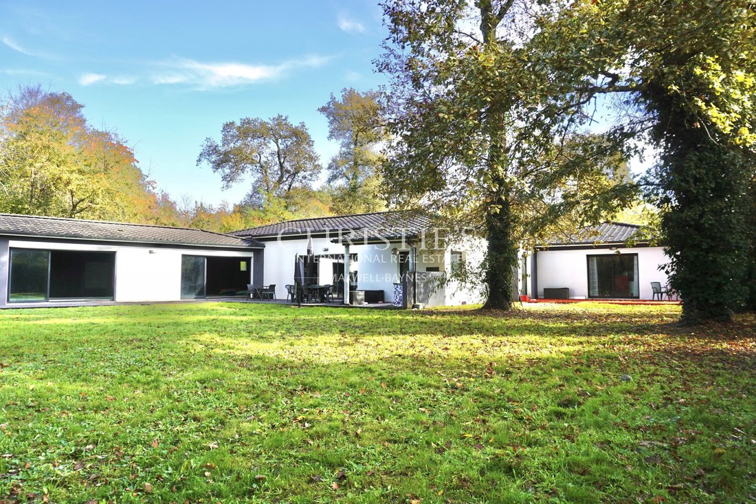 House in Pujols-sur-Ciron, Nouvelle-Aquitaine, France 1 - 18946835