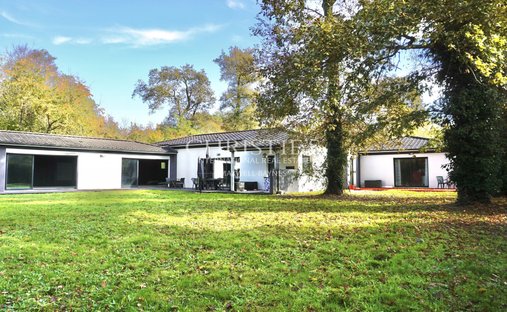 House in Pujols-sur-Ciron, Nouvelle-Aquitaine, France 1