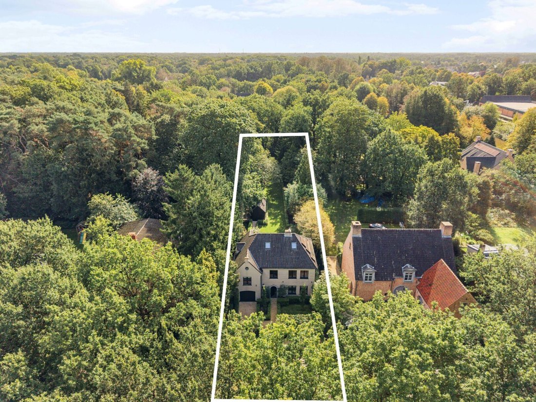 Villa in Malle, Flanders, Belgium 5 - 18947565
