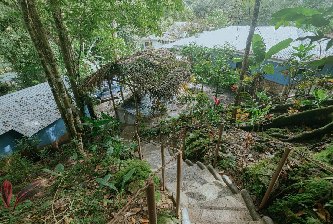 House in Quepos, Puntarenas Province, Costa Rica 4 - 18947197