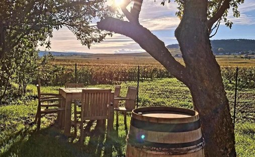 Volnay, Bourgogne – Franche-Comté, France 1