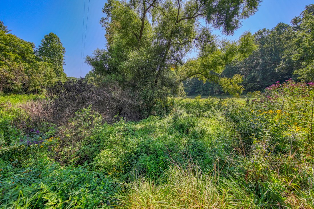 Land in Tellico Plains, Tennessee, United States 4 - 18947121