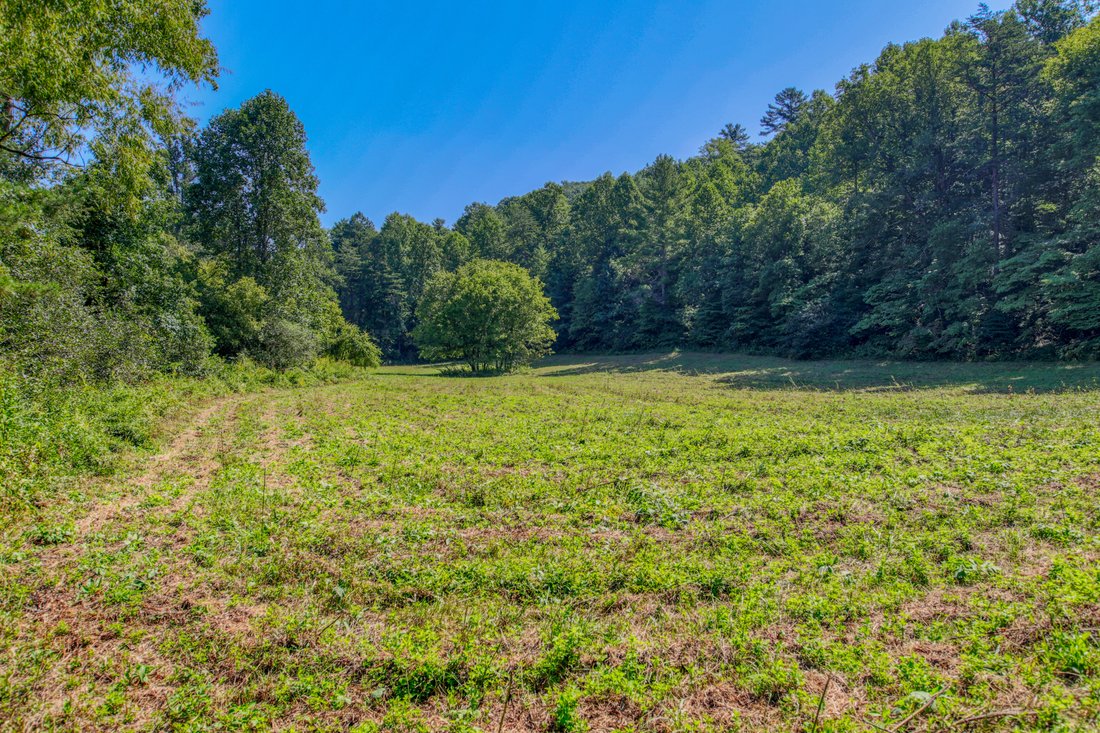 Land in Tellico Plains, Tennessee, United States 5 - 18947121
