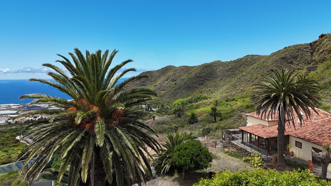 Farm Ranch in San Cristobal de La Laguna, Canary Islands, Spain 5 - 18305247