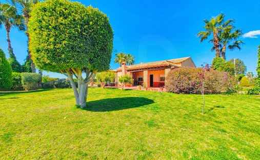 Townhouse in Elx / Elche, Valencian Community, Spain 1