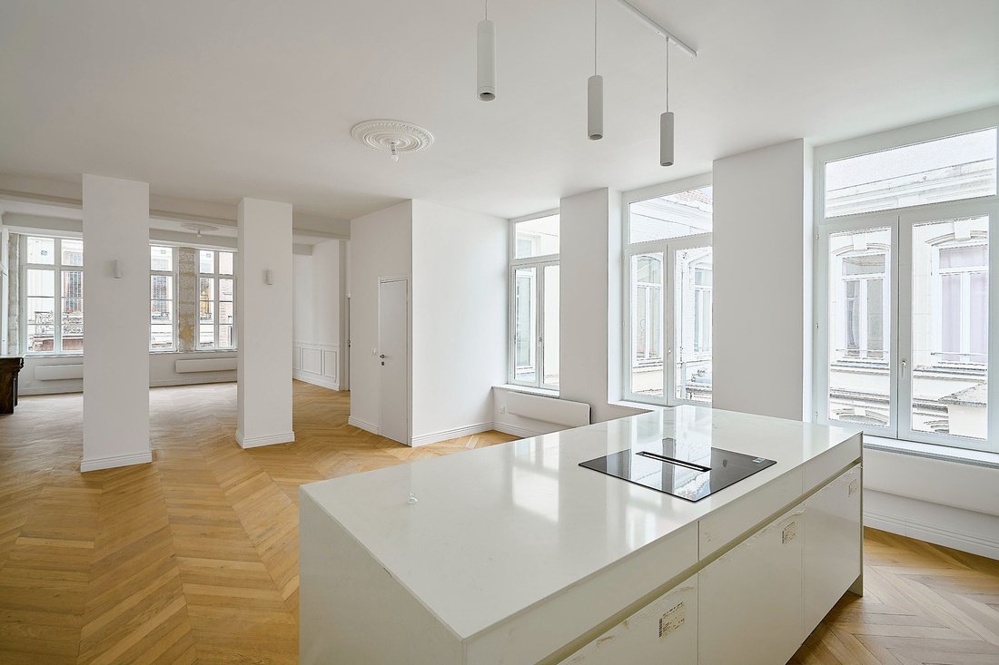 Apartment in Caulier, Lille, France 1 - 18946825