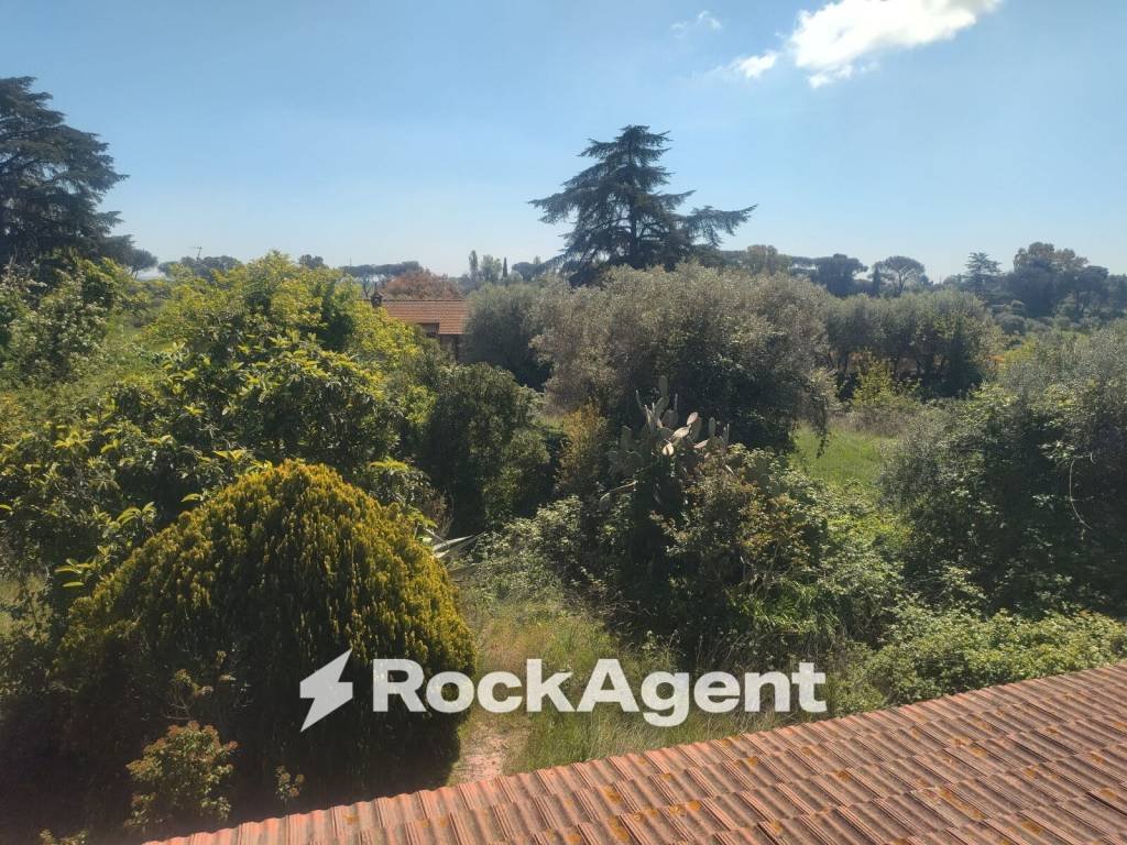 Land in Trigoria - Castel di Leva, Rome, Lazio 5 - 18947563