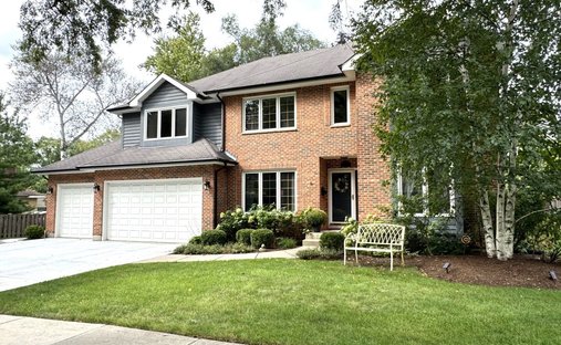 House in Prospect Heights, Illinois, United States 1