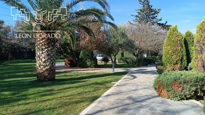 Villa in Paiania, Attica, Greece 3 - 18947744